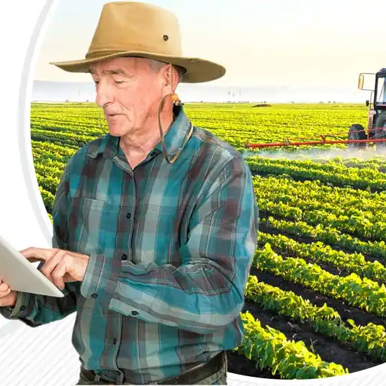 A farmer reviews test results on a tablet at the edge of a vegetable field.